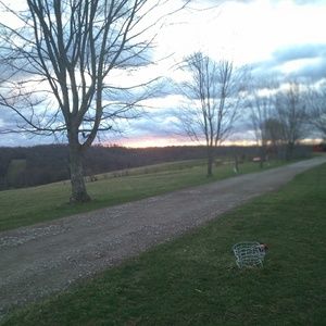 Meet your Posher, Avery